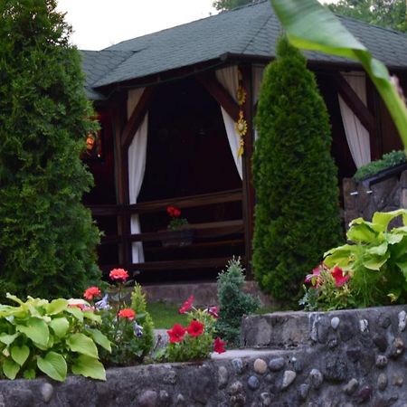 Casa De Vacanta Silvia Vărmaga Eksteriør billede