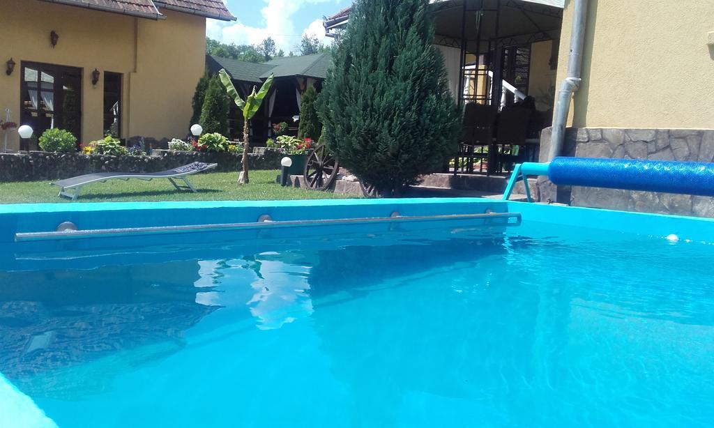 Casa De Vacanta Silvia Vărmaga Eksteriør billede