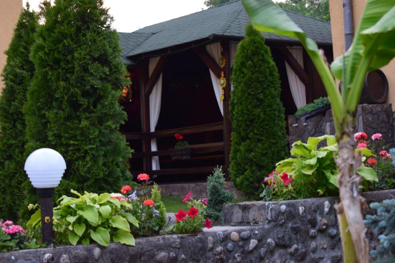 Casa De Vacanta Silvia Vărmaga Eksteriør billede