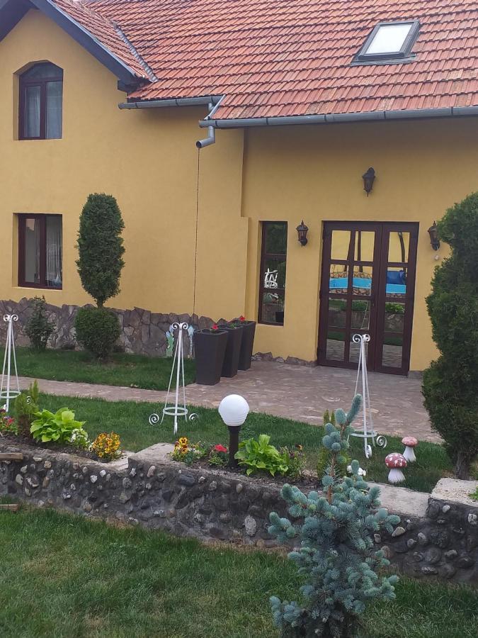 Casa De Vacanta Silvia Vărmaga Eksteriør billede