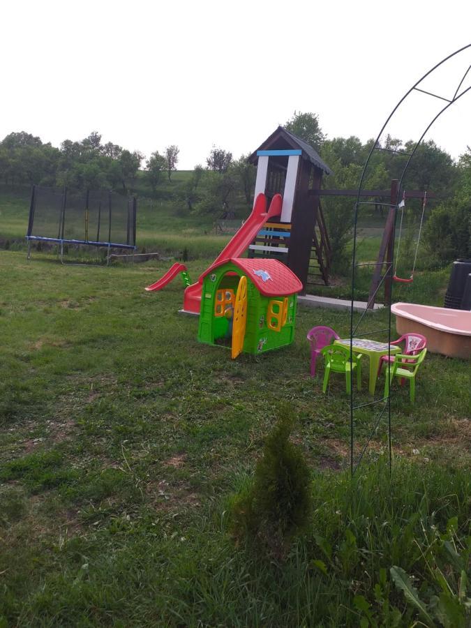 Casa De Vacanta Silvia Vărmaga Eksteriør billede